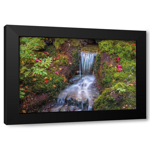 Tranquility Falls Black Modern Wood Framed Art Print by Oldford, Tim