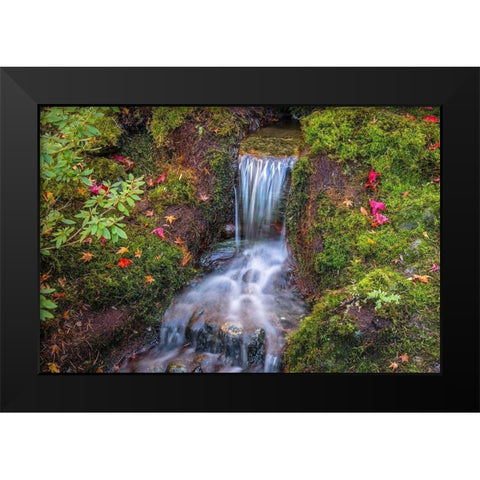Tranquility Falls Black Modern Wood Framed Art Print by Oldford, Tim