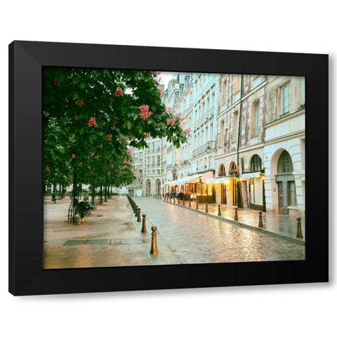 Paris in Chesnut Blossom Pink Black Modern Wood Framed Art Print with Double Matting by Okula, Carina