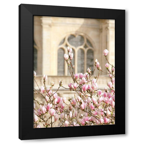 Spring Magnolias In Paris Black Modern Wood Framed Art Print with Double Matting by Okula, Carina