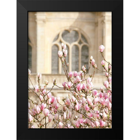 Spring Magnolias In Paris Black Modern Wood Framed Art Print by Okula, Carina