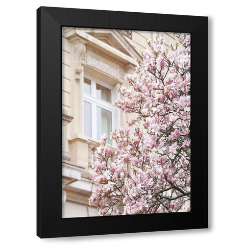 Pink Spring Magnolias in Paris Black Modern Wood Framed Art Print with Double Matting by Okula, Carina