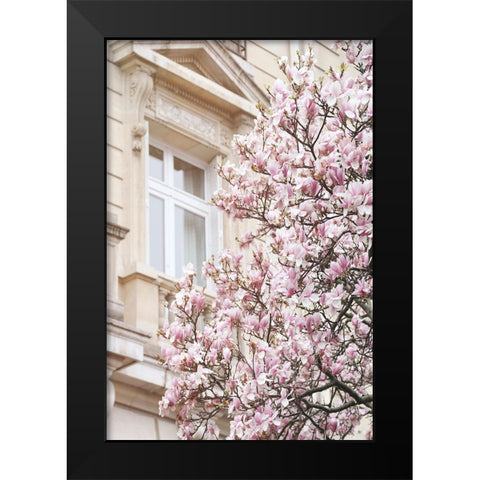Pink Spring Magnolias in Paris Black Modern Wood Framed Art Print by Okula, Carina