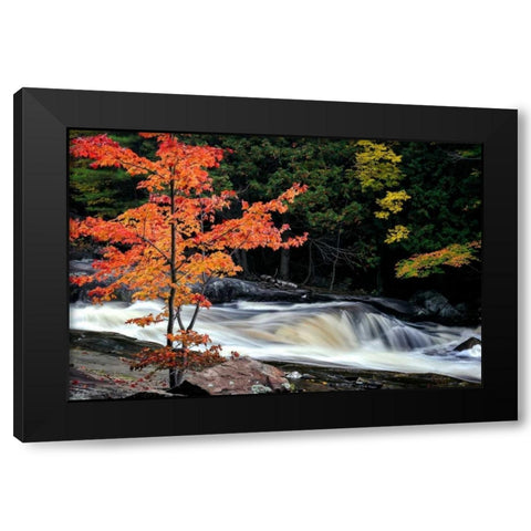 Autumn, Lower Rosseau Falls Black Modern Wood Framed Art Print with Double Matting by Pollard, David W.
