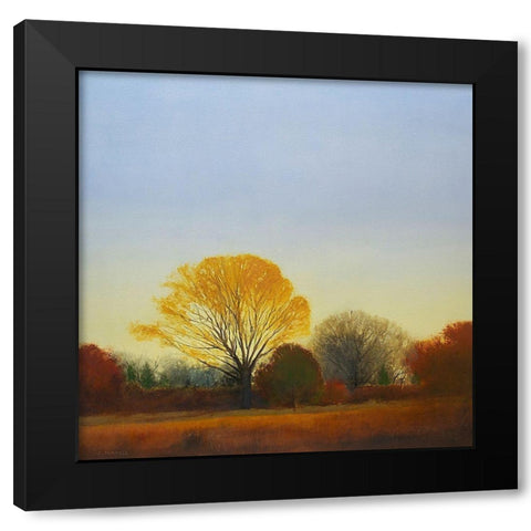 Red Tailed Hawk Black Modern Wood Framed Art Print by Pannell, Cap