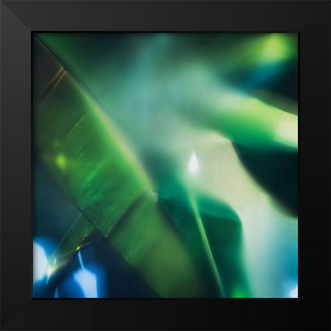 Evergreen No. 1 Black Modern Wood Framed Art Print by Pfrommer, Sven