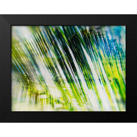 Evergreen No. 6 Black Modern Wood Framed Art Print by Pfrommer, Sven