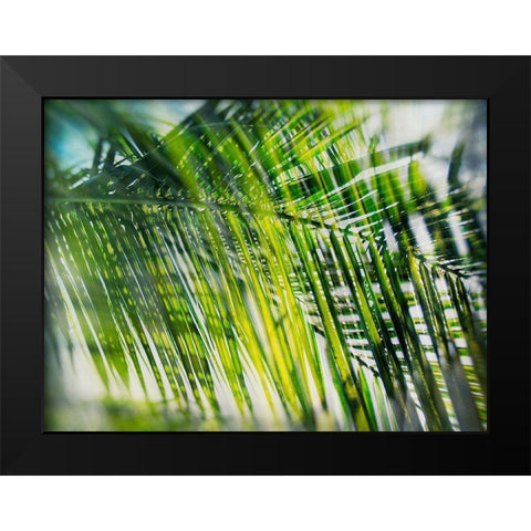 Evergreen No. 8 Black Modern Wood Framed Art Print by Pfrommer, Sven