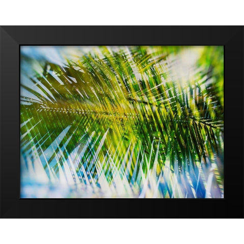 Evergreen No. 9 Black Modern Wood Framed Art Print by Pfrommer, Sven