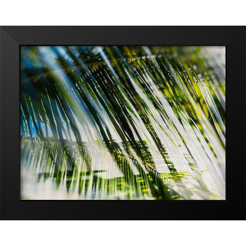 Evergreen No. 10 Black Modern Wood Framed Art Print by Pfrommer, Sven