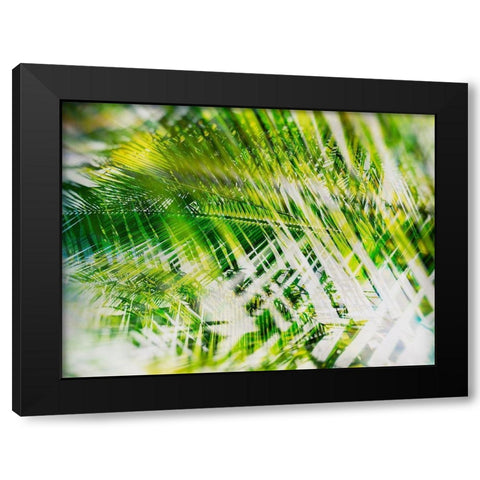 Evergreen No. 11 Black Modern Wood Framed Art Print with Double Matting by Pfrommer, Sven