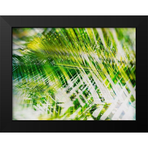 Evergreen No. 11 Black Modern Wood Framed Art Print by Pfrommer, Sven