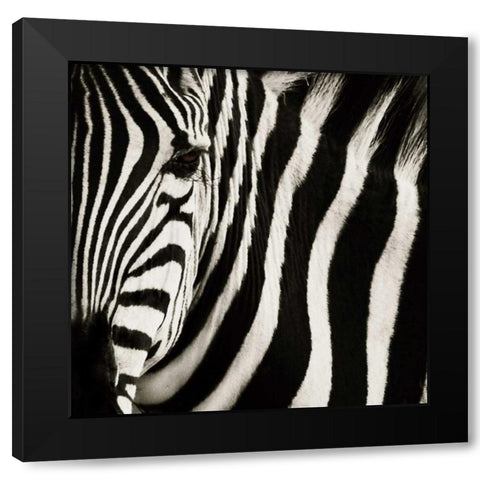 Camouflage I Black Modern Wood Framed Art Print with Double Matting by Parker, Susann