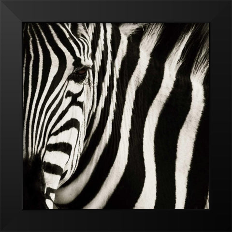 Camouflage I Black Modern Wood Framed Art Print by Parker, Susann