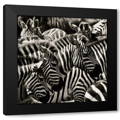 Camouflage II Black Modern Wood Framed Art Print with Double Matting by Parker, Susann