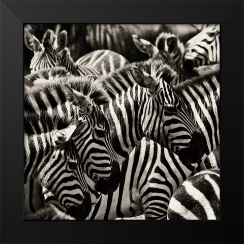 Camouflage II Black Modern Wood Framed Art Print by Parker, Susann