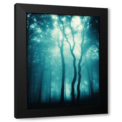 Blue Light Woods Black Modern Wood Framed Art Print with Double Matting by PhotoINC Studio