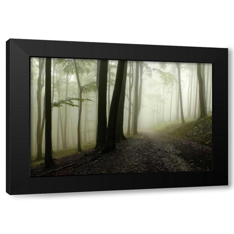 Green Woods 1 Black Modern Wood Framed Art Print with Double Matting by PhotoINC Studio