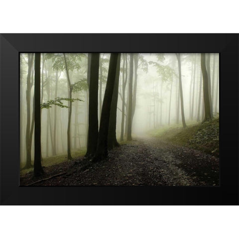 Green Woods 1 Black Modern Wood Framed Art Print by PhotoINC Studio