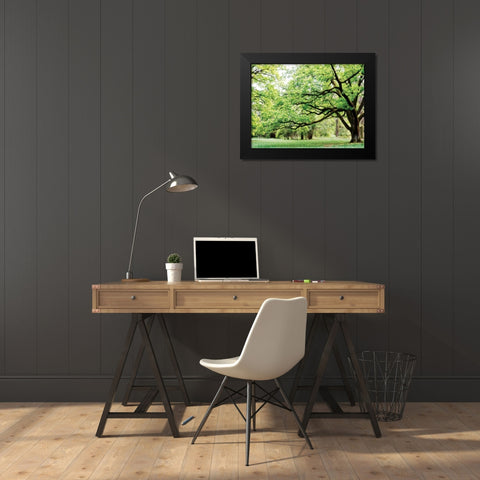 Green Woods 4 Black Modern Wood Framed Art Print by PhotoINC Studio