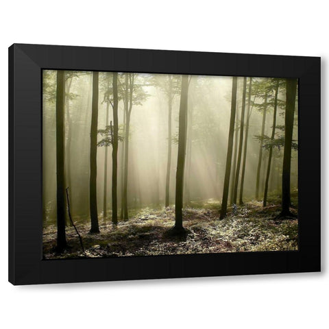 Green Works Black Modern Wood Framed Art Print by PhotoINC Studio