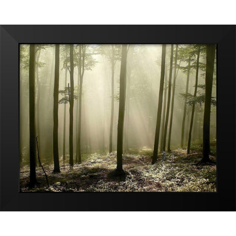 Green Works Black Modern Wood Framed Art Print by PhotoINC Studio