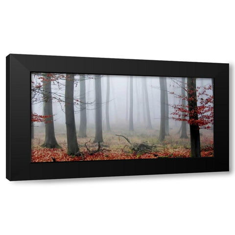 Misty Woods Black Modern Wood Framed Art Print by PhotoINC Studio