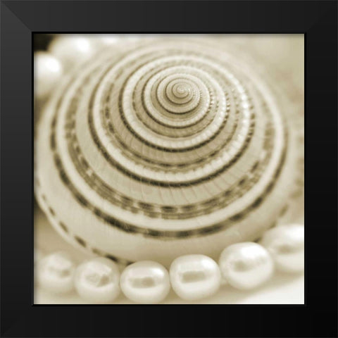 Shells and Pearls 1 Black Modern Wood Framed Art Print by PhotoINC Studio