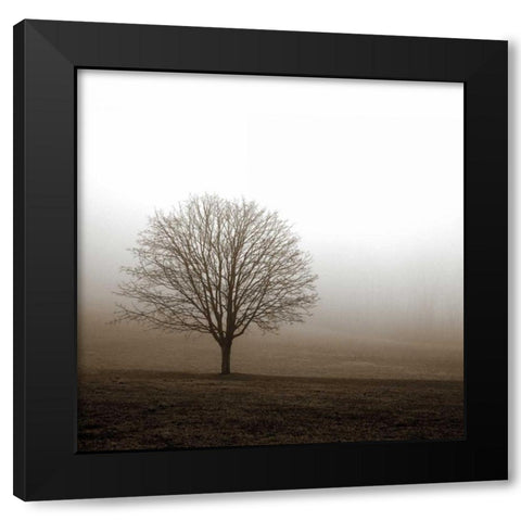 Tree in Mist 1 Black Modern Wood Framed Art Print by PhotoINC Studio