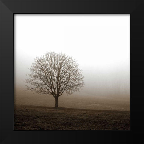 Tree in Mist 1 Black Modern Wood Framed Art Print by PhotoINC Studio