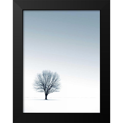 Tree in Winterscape Black Modern Wood Framed Art Print by PhotoINC Studio