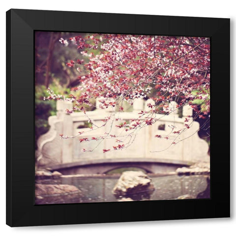 Blush Black Modern Wood Framed Art Print with Double Matting by Price, Melanie Alexandra