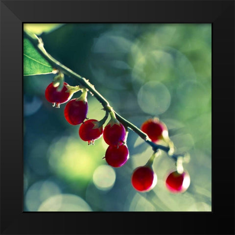 Luscious Black Modern Wood Framed Art Print by Price, Melanie Alexandra