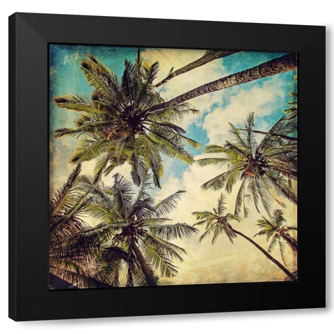 Kauai Island Palms Black Modern Wood Framed Art Print with Double Matting by Price, Melanie Alexandra