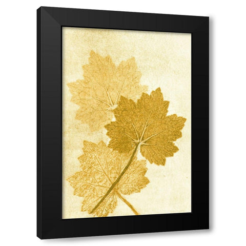 Alumroo Amber Black Modern Wood Framed Art Print with Double Matting by Folcarelli, Pernille