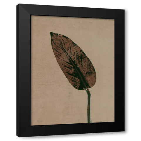 Calathea Brown Black Modern Wood Framed Art Print with Double Matting by Folcarelli, Pernille