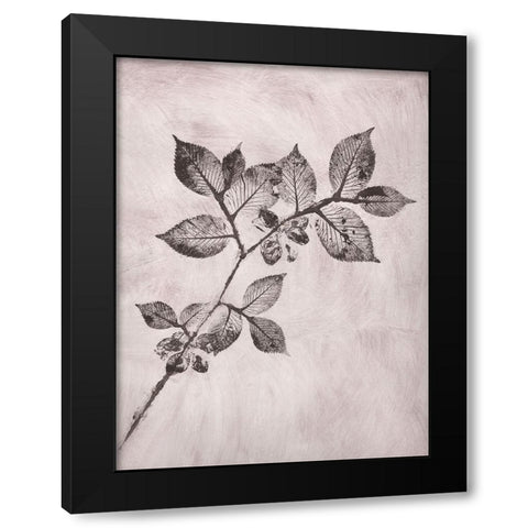 Elm 1 Brown Black Modern Wood Framed Art Print with Double Matting by Folcarelli, Pernille