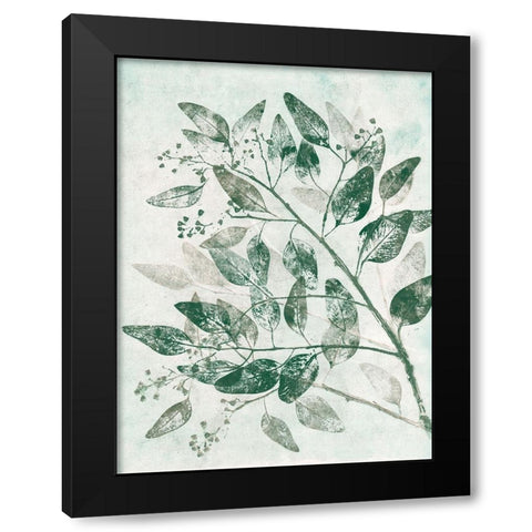 Eucalyptus 1 Green Black Modern Wood Framed Art Print with Double Matting by Folcarelli, Pernille