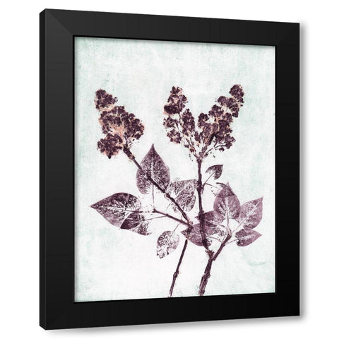 Lilac 1 Aqua Plum Black Modern Wood Framed Art Print by Folcarelli, Pernille