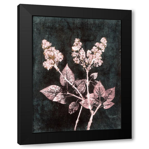 Lilac 1 Blush Dark Green Black Modern Wood Framed Art Print with Double Matting by Folcarelli, Pernille