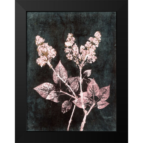 Lilac 1 Blush Dark Green Black Modern Wood Framed Art Print by Folcarelli, Pernille