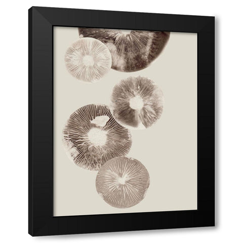 Mushroom 6 Light Brown Black Modern Wood Framed Art Print with Double Matting by Folcarelli, Pernille