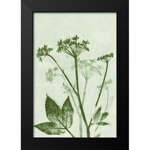 Ground Elder Green Black Modern Wood Framed Art Print by Folcarelli, Pernille