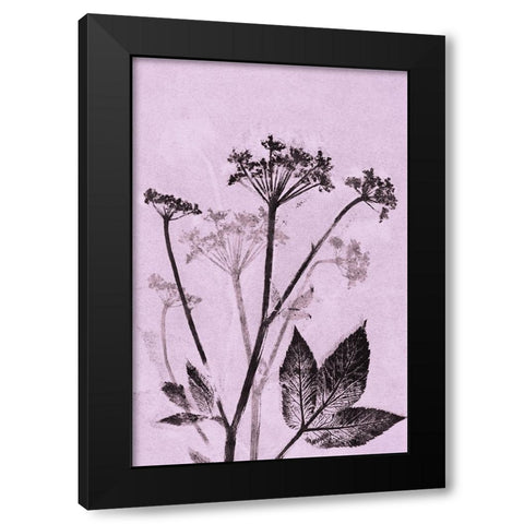 Ground Elder Violet Black Modern Wood Framed Art Print with Double Matting by Folcarelli, Pernille
