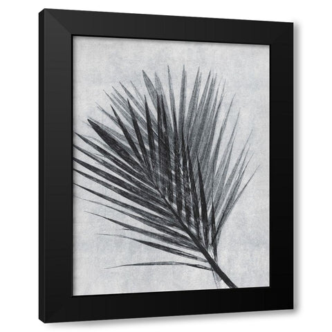 Palm 1 Grey Black Modern Wood Framed Art Print with Double Matting by Folcarelli, Pernille