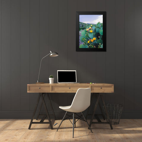 Spring Cacti No. 2 Black Modern Wood Framed Art Print by Quintero, Sonja