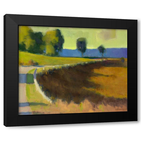 Late Afternoon at The Pyrenees Black Modern Wood Framed Art Print by Roberts, Ian