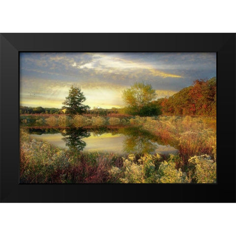 Arrival of Dawn Black Modern Wood Framed Art Print by Rivera, John