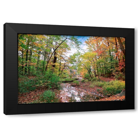 Autumn at Hopkins Pond Black Modern Wood Framed Art Print with Double Matting by Rivera, John