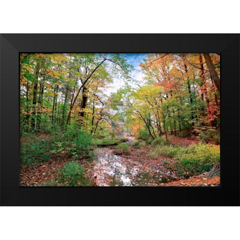 Autumn at Hopkins Pond Black Modern Wood Framed Art Print by Rivera, John